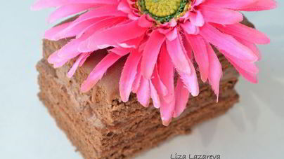 Австрийское шоколадное пирожное Вена