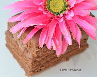 Австрийское шоколадное пирожное Вена