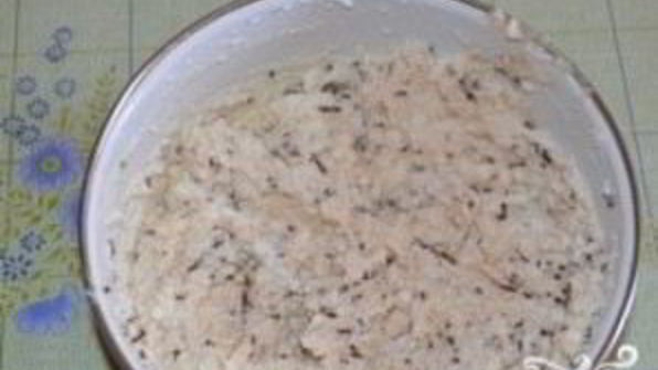 итальянское пирожное канолли