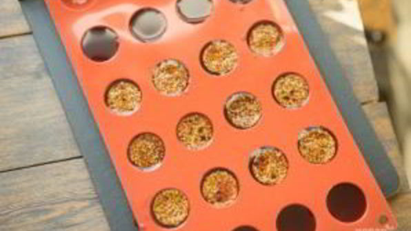 пирожное шу с вишневым конфи