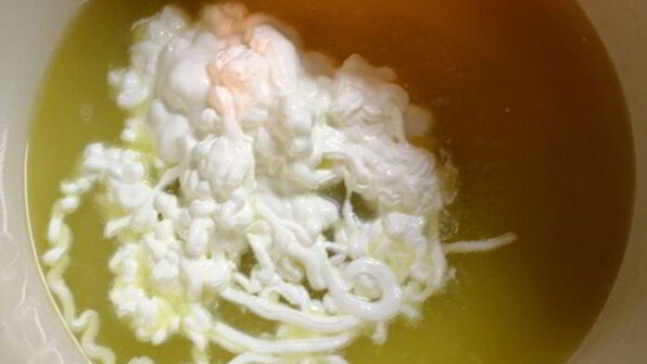 тыквенные пирожные под апельсиново-сметанной глазурью