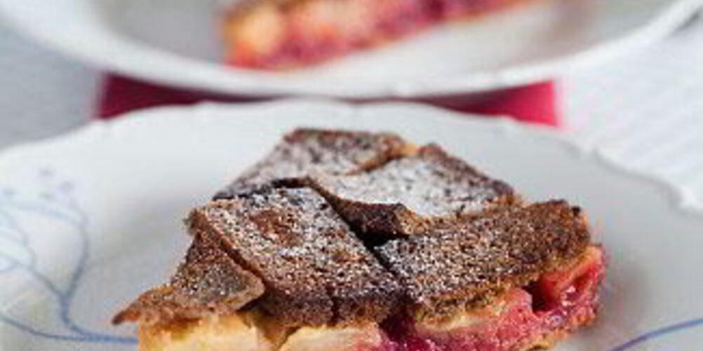 Рецепт шарлотка из черного хлеба с яблоками и брусникой