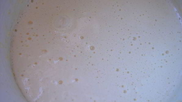 шарлотка непростая