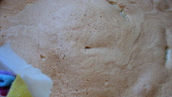 шарлотка непростая