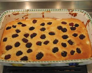 Шарлотка с ягодами