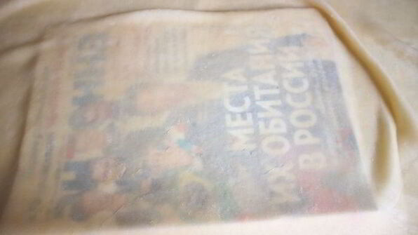 вишневый штрудель