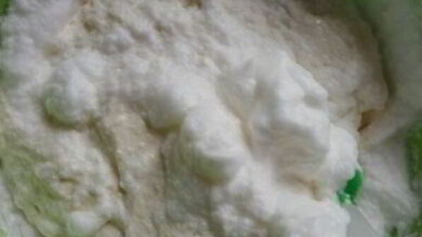 сырник львовский