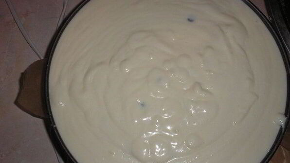 сырник с шоколадными каплями и брауни