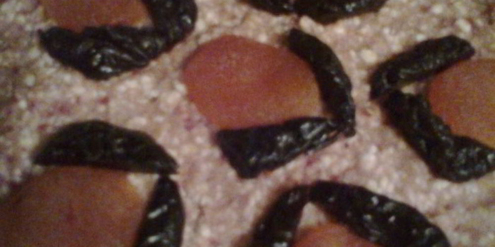 Рецепт творожник в микроволновке