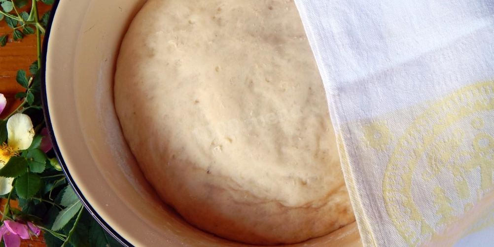 Рецепт дрожжевое тесто на лепешки
