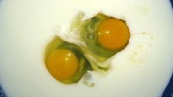 пирожковое тесто за 5 минут