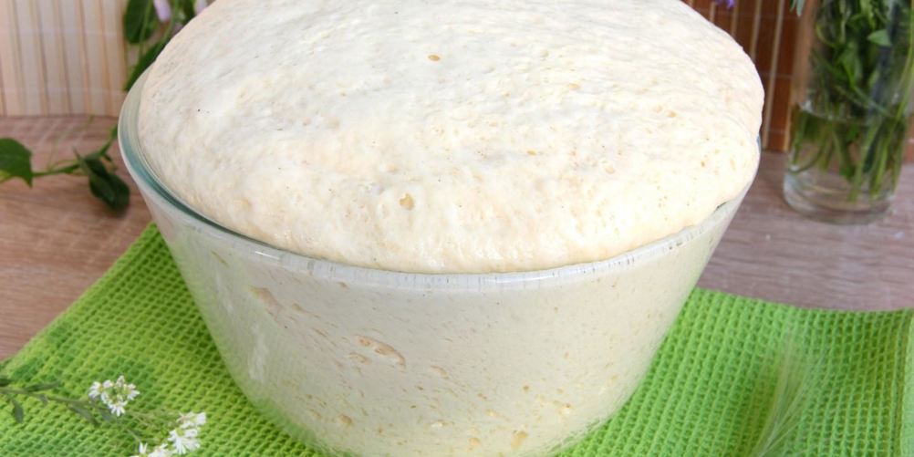 Рецепт тесто для ватрушек на сухих дрожжах