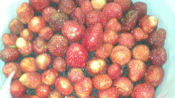 два торта клубника под облаками и клубника в сметане