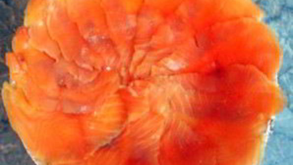 рыбный торт-салат