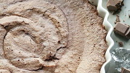 Шоколадный торт с имбирем