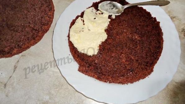 шоколадный торт с вишней и сливками