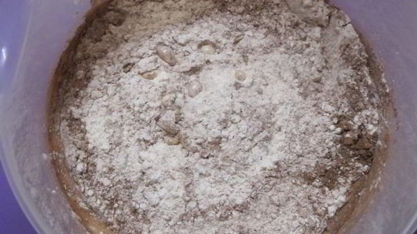 торт кучерявый пинчер