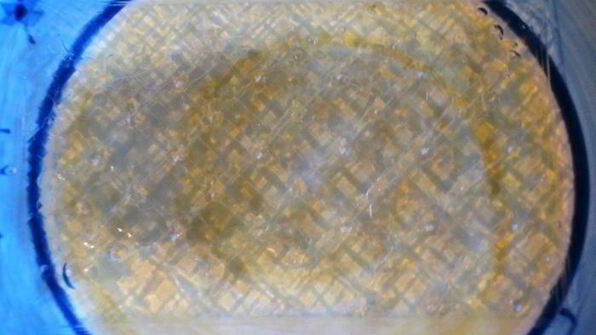 торт с черешней и творожным муссом