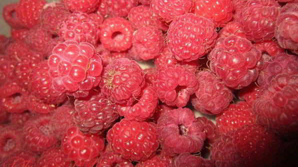 торт зефирно-малиновый