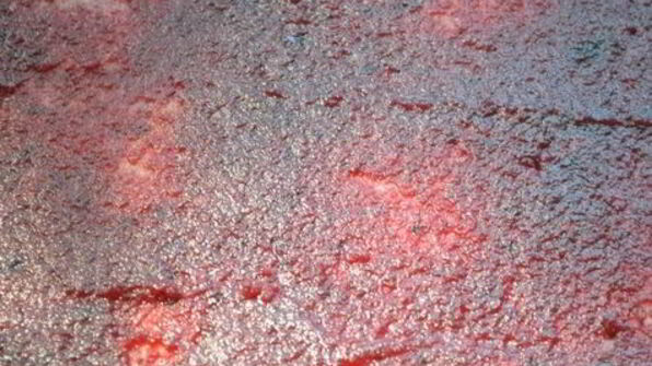 яблочный рулет