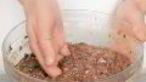 пасхальная балканская запеканка из потрохов