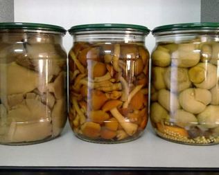 Грибы на зиму без стерилизации