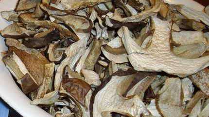 Грибы сушеные