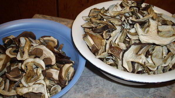 грибы сушеные