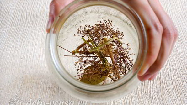 хрустящие кабачки на зиму