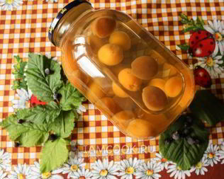 Компот из абрикосов на зиму