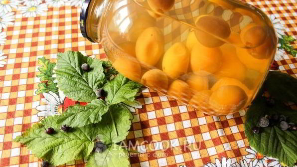 компот из абрикосов на зиму