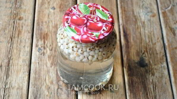 компот из белой смородины на зиму