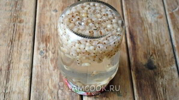 компот из белой смородины на зиму