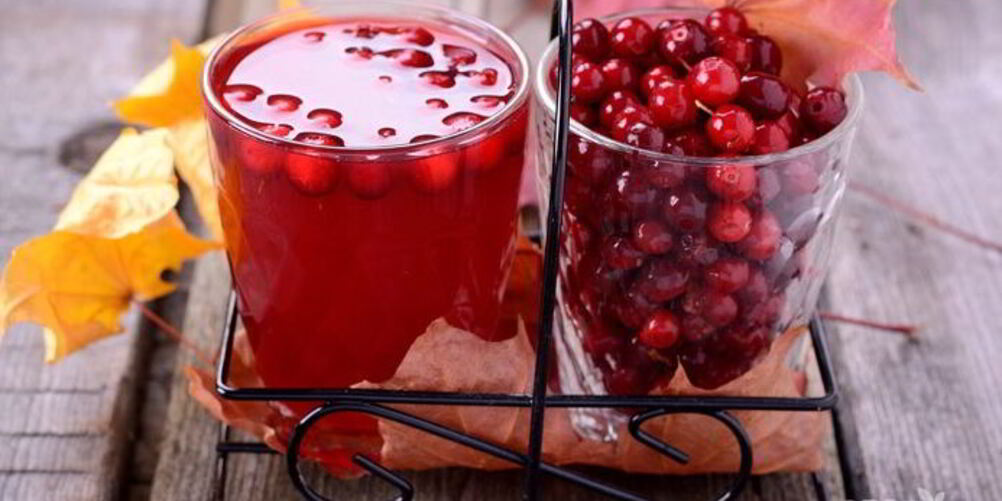 Рецепт компот из брусники