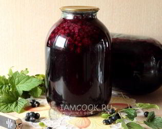 Компот из черной смородины на зиму