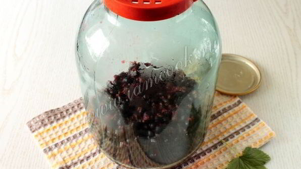 компот из черной смородины на зиму