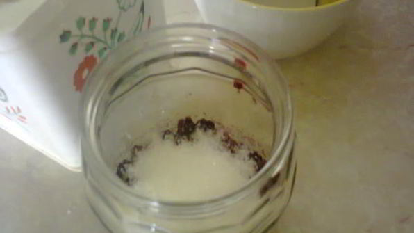 компот из ежевики