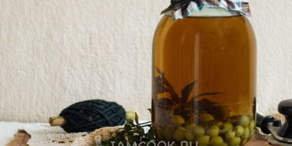 Рецепт компот из крыжовника с мятой