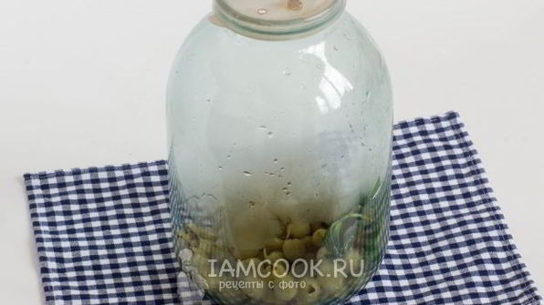 компот из крыжовника с мятой