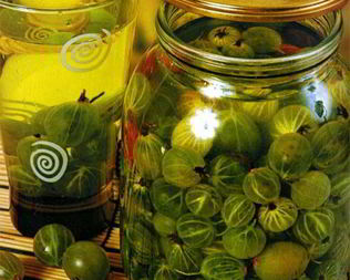 Компот из крыжовника