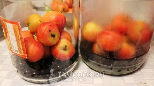 компот из ранеток и черноплодки на зиму