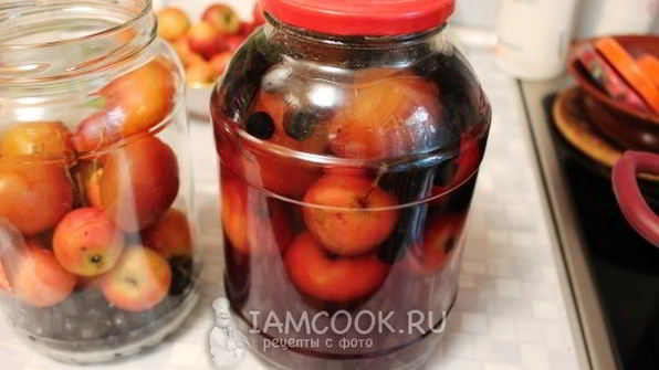 компот из ранеток и черноплодки на зиму
