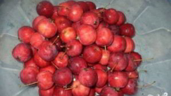 компот из ранеток на зиму