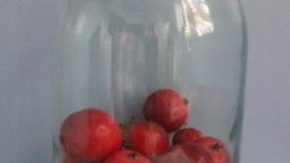 компот из ранеток на зиму