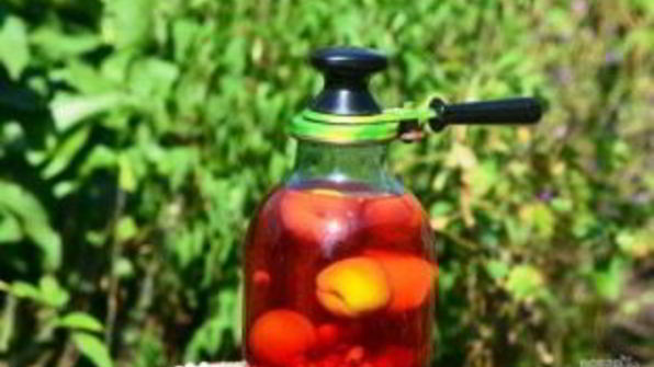 компот из вишни и малины