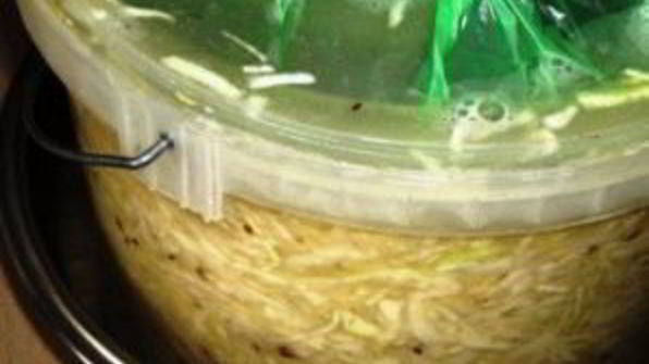 квашеная капуста с укропом