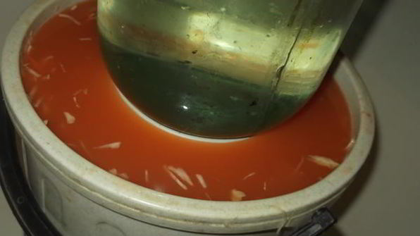 квашеная капуста