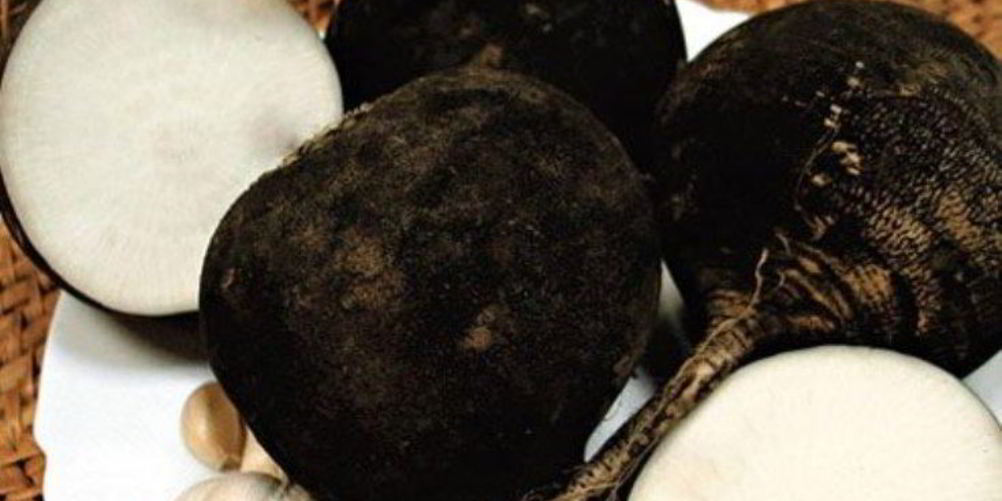 Рецепт квашеная редька