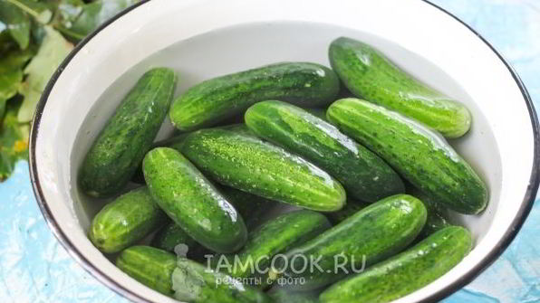 квашеные огурцы без стерилизации на зиму