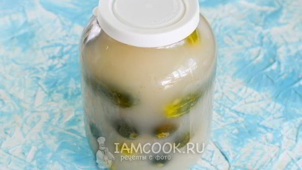 квашеные огурцы без стерилизации на зиму